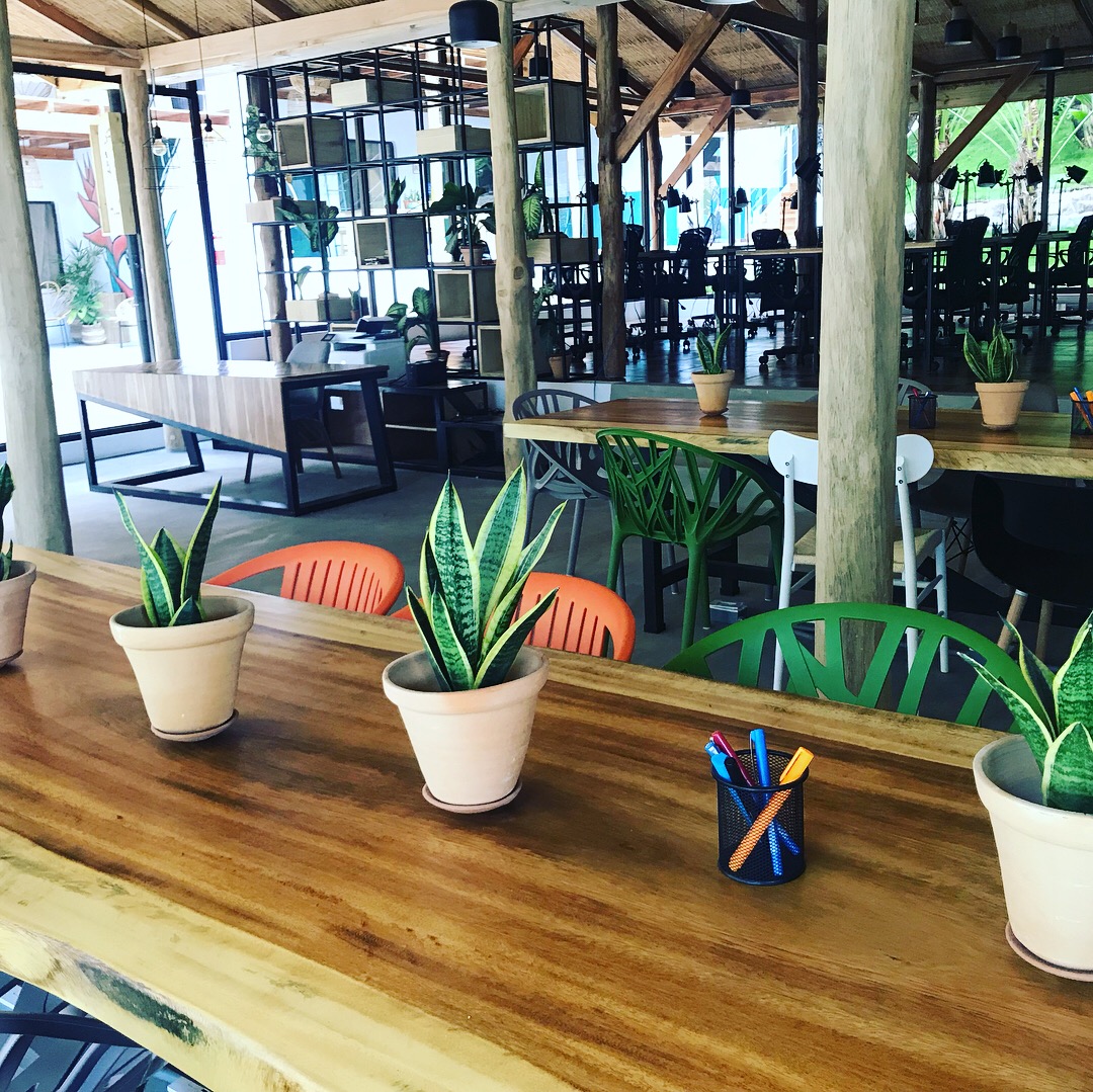 68BC9F71-E409-40F2-8FA9-E1465978A08A