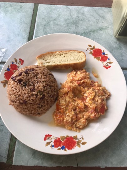 AC23FA50-0C6E-40F4-84EA-D7BC1BAE61D9