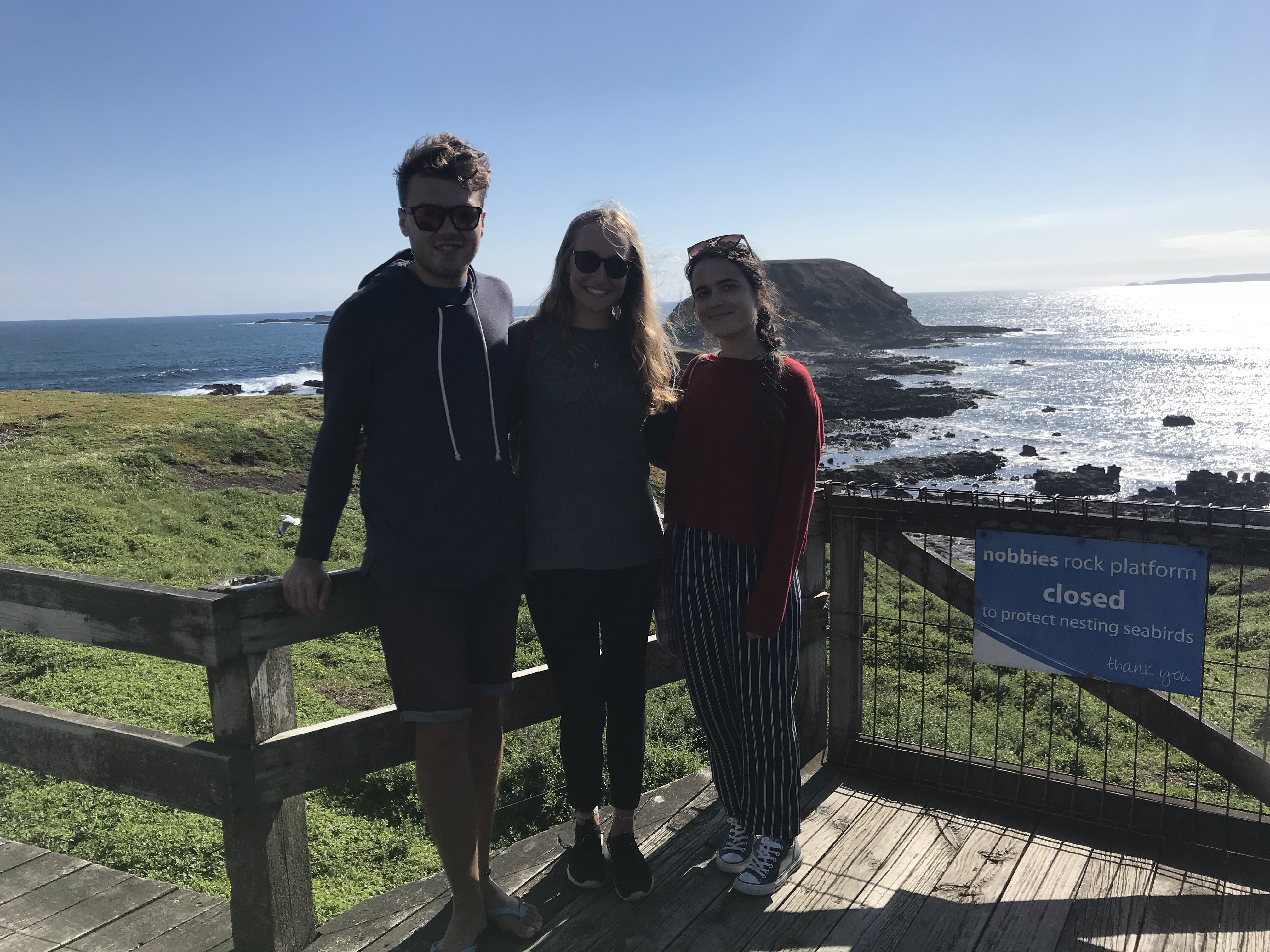 travel guide philip island australia