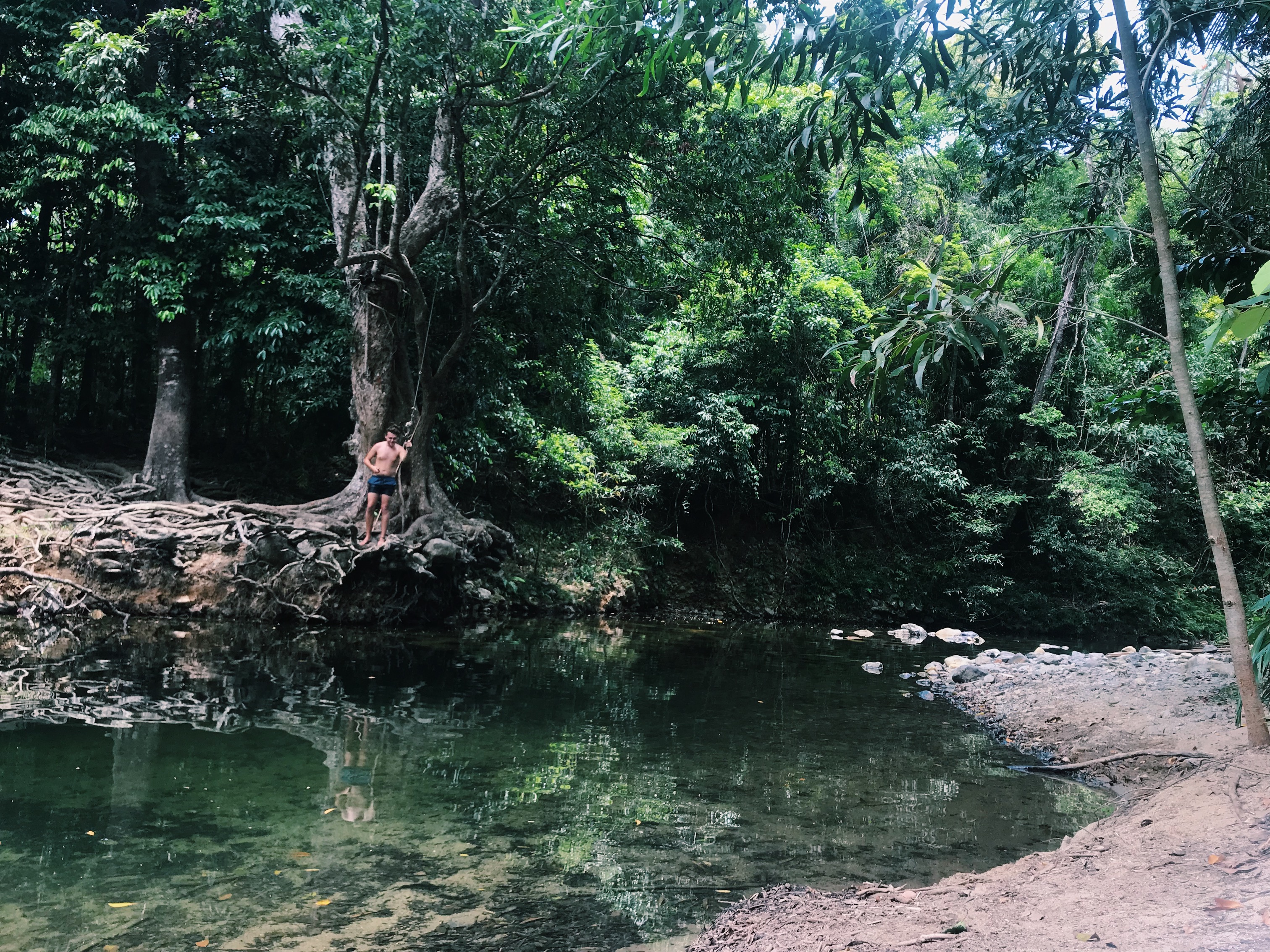 cairns wild swimming best place