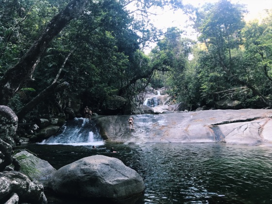 cairns wild swimming best places