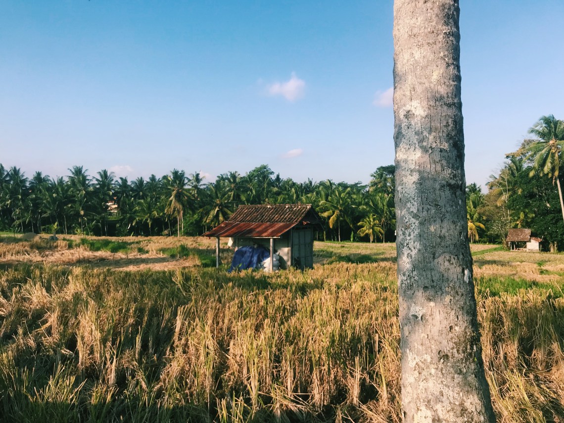 firefly villa airbnb ubud