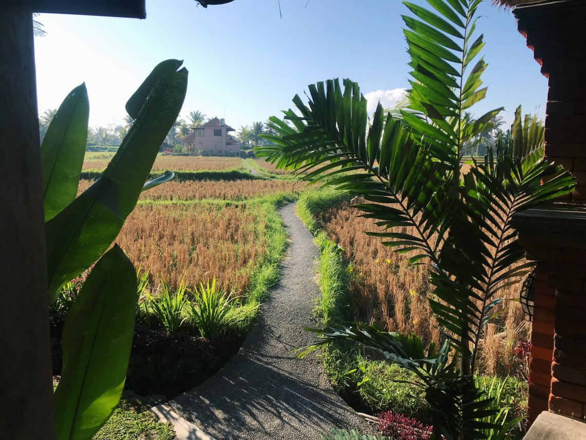 firefly villa airbnb ubud