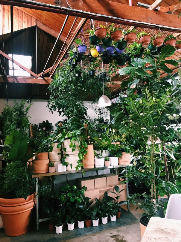 5 Things That Prove Collingwood is Melbourne’s coolest inner suburb