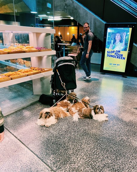 Processed with VSCO with c1 preset